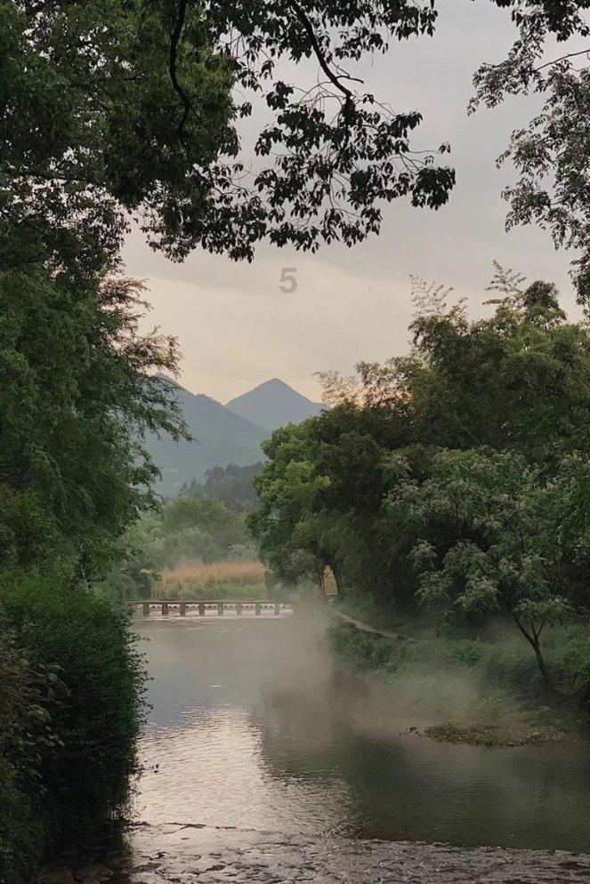 D照可以开什么车呢？